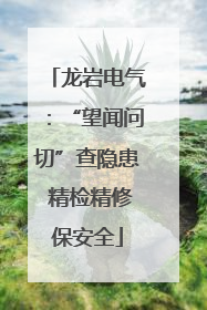 龙岩电气：“望闻问切”查隐患 精检精修保安全