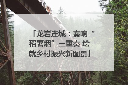 龙岩连城：奏响“稻薯烟”三重奏 绘就乡村振兴新图景
