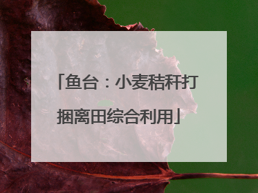 鱼台：小麦秸秆打捆离田综合利用