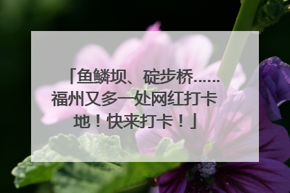 鱼鳞坝、碇步桥……福州又多一处网红打卡地！快来打卡！