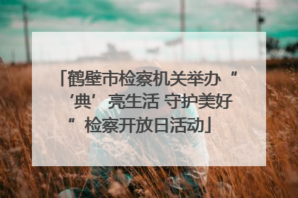 鹤壁市检察机关举办“‘典’亮生活 守护美好”检察开放日活动