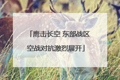 鹰击长空 东部战区空战对抗激烈展开