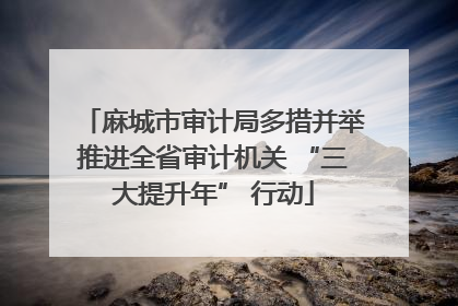 麻城市审计局多措并举推进全省审计机关 “三大提升年” 行动