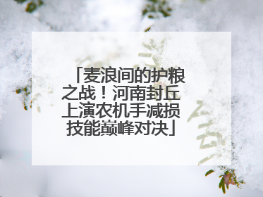 麦浪间的护粮之战！河南封丘上演农机手减损技能巅峰对决