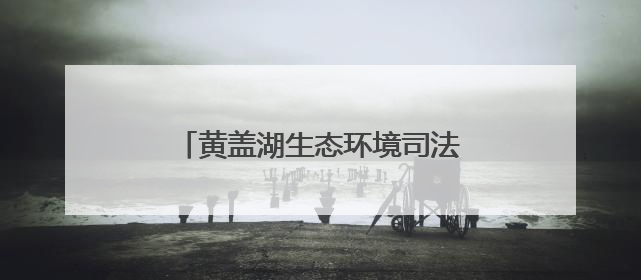黄盖湖生态环境司法保护基地揭牌成立