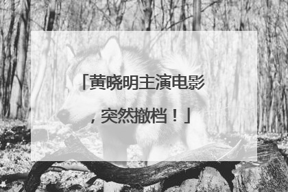黄晓明主演电影，突然撤档！