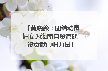 黄晓薇：团结动员妇女为海南自贸港建设贡献巾帼力量