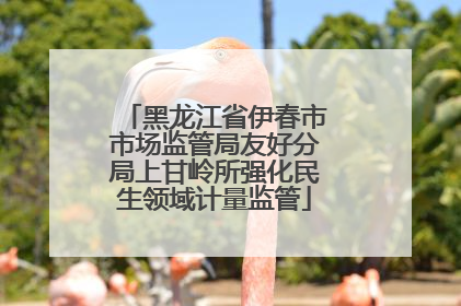 黑龙江省伊春市市场监管局友好分局上甘岭所强化民生领域计量监管