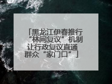 黑龙江伊春推行“林间复议”机制 让行政复议直通群众“家门口”