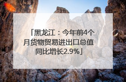 黑龙江：今年前4个月货物贸易进出口总值同比增长2.9%