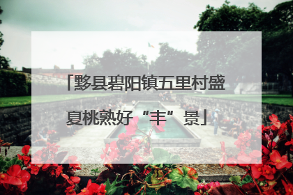 黟县碧阳镇五里村盛夏桃熟好“丰”景