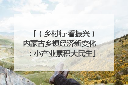 （乡村行·看振兴）内蒙古乡镇经济新变化：小产业累积大民生