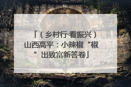 （乡村行·看振兴）山西高平：小辣椒“椒”出致富新答卷