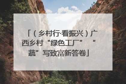 （乡村行·看振兴）广西乡村“绿色工厂” “蔬”写致富新答卷