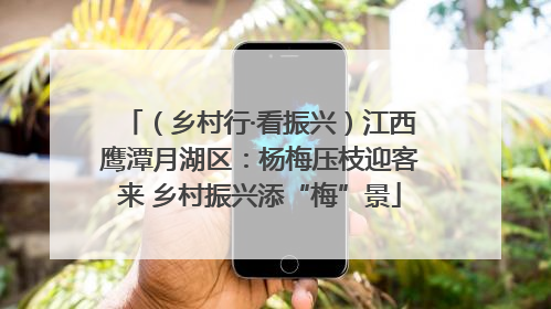 （乡村行·看振兴）江西鹰潭月湖区：杨梅压枝迎客来 乡村振兴添“梅”景