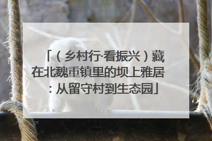 （乡村行·看振兴）藏在北魏重镇里的坝上雅居：从留守村到生态园