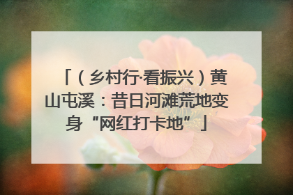 （乡村行·看振兴）黄山屯溪：昔日河滩荒地变身“网红打卡地”