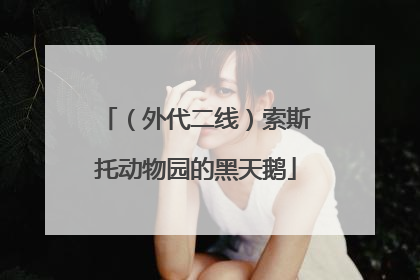 （外代二线）索斯托动物园的黑天鹅