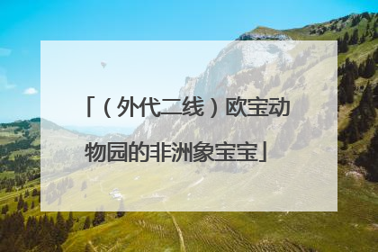 （外代二线）欧宝动物园的非洲象宝宝