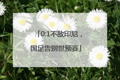 0:1不敌印尼，国足告别世预赛