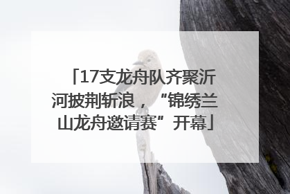 17支龙舟队齐聚沂河披荆斩浪,“锦绣兰山龙舟邀请赛”开幕
