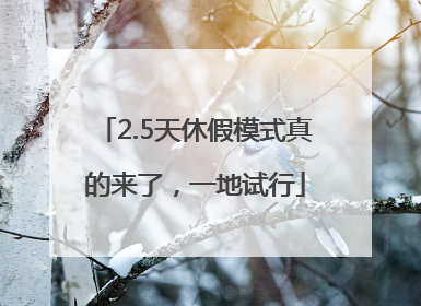 2.5天休假模式真的来了，一地试行
