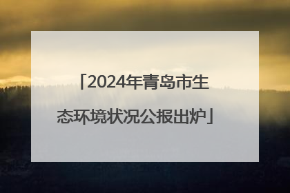 2024年青岛市生态环境状况公报出炉