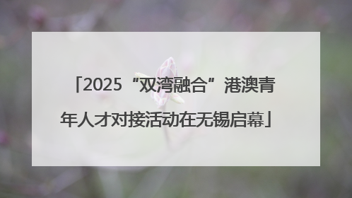 2025“双湾融合”港澳青年人才对接活动在无锡启幕