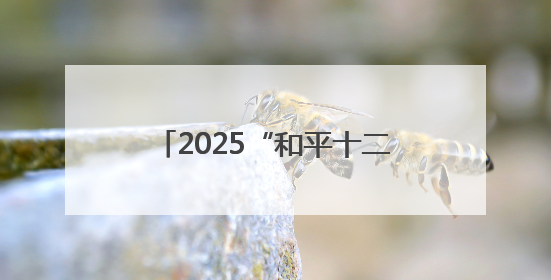 2025“和平十二名片”璀璨揭晓，见证和平区的荣耀与匠心
