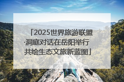 2025世界旅游联盟·洞庭对话在岳阳举行 共绘生态文旅新蓝图