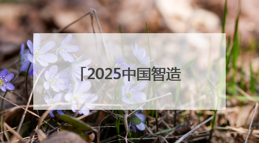 2025中国智造出海记丨关税风波下，那些在世界最前线开疆拓土的人
