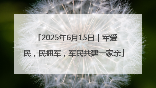 2025年6月15日｜军爱民，民拥军，军民共建一家亲