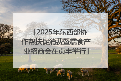 2025年东西部协作帮扶促消费暨糯食产业招商会在贞丰举行
