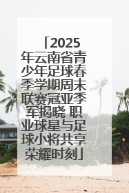 2025年云南省青少年足球春季学期周末联赛冠亚季军揭晓 职业球星与足球小将共享荣耀时刻