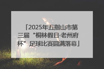 2025年五指山市第三届“桐林假日·老州府杯”足球比赛圆满落幕