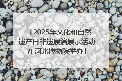 2025年文化和自然遗产日非遗展演展示活动在河北博物院举办