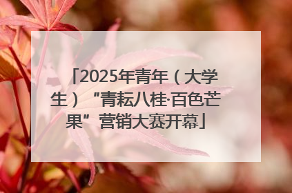 2025年青年（大学生）“青耘八桂·百色芒果”营销大赛开幕