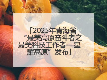 2025年青海省“最美高原奋斗者之最美科技工作者—星耀高原”发布