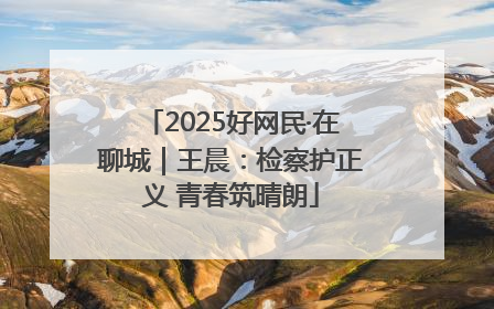 2025好网民·在聊城｜王晨：检察护正义 青春筑晴朗
