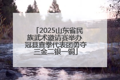 2025山东省民族武术邀请赛举办 冠县查拳代表团勇夺三金二银一铜