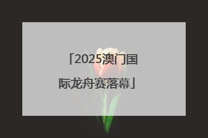 2025澳门国际龙舟赛落幕