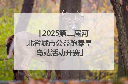 2025第二届河北省城市公益跑秦皇岛站活动开赛