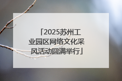 2025苏州工业园区网络文化采风活动圆满举行