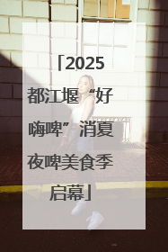 2025都江堰“好嗨啤”消夏夜啤美食季启幕