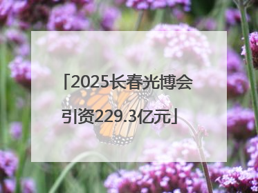 2025长春光博会引资229.3亿元