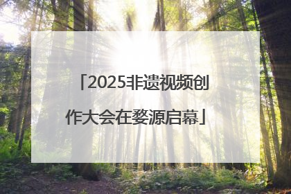 2025非遗视频创作大会在婺源启幕