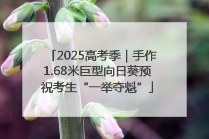 2025高考季｜手作1.68米巨型向日葵预祝考生“一举夺魁”
