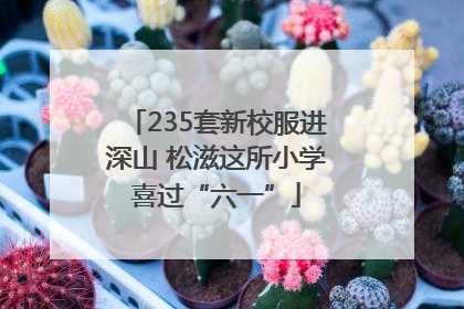 235套新校服进深山 松滋这所小学喜过“六一”