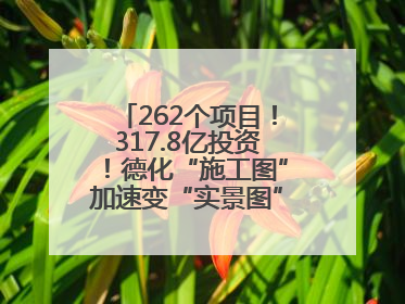 262个项目！317.8亿投资！德化“施工图”加速变“实景图”，现场燃爆了！