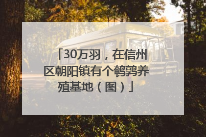 30万羽，在信州区朝阳镇有个鹌鹑养殖基地（图）